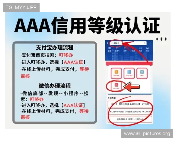 探索PA电子评级帮助企业提升信用等级的实际操作技巧与案例分析 探索PA电子评级帮助企业提升信用等级的实际操作技巧与案例分析