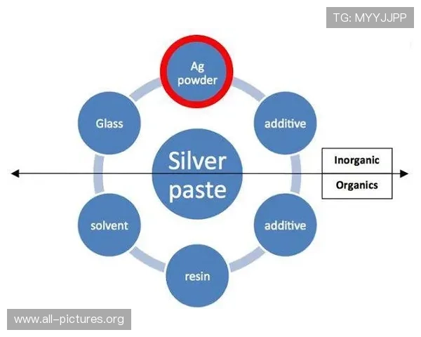 提升登录效率的实用技巧，确保您顺利完成AG会员登录操作