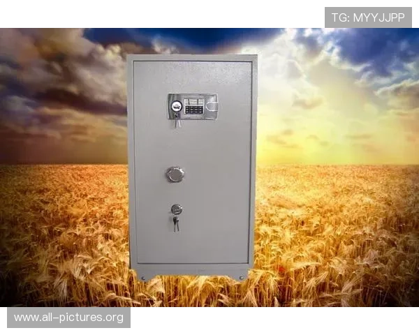 凯发K8在线注册平台安全保障措施及注册流程全方位介绍