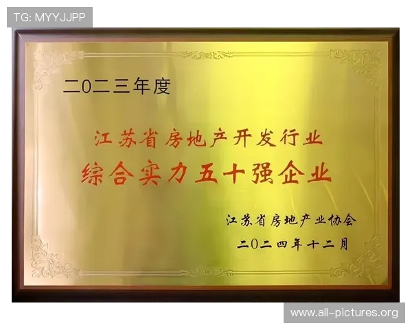 凯发娱乐k8天生赢家积极布局国际市场,开启全球化发展新篇章