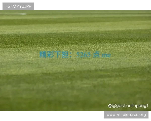 爱游戏app体育官方网站为用户打造全面的体育赛事信息和实时比分更新服务